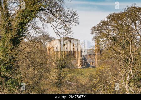 Egglestone Abbey, Barnard Castle, Teesdale Stockfoto