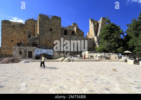 Blick auf die Burg Ajloun (QA'lat ar-Rabad) im Bezirk Mount Ajloun im Norden Jordaniens, Naher Osten Stockfoto