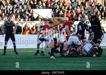 Newcastle, Großbritannien. 07. Januar 2023. Ben Youngs von Leicester Tigers wird unter Druck von Greg Peterson während des Gallagher Premiership-Spiels zwischen Newcastle Falcons und Leicester Tigers am Samstag, den 7. Januar 2023, im Kingston Park, Newcastle, freigelassen. (Kredit: Chris Lishman | MI News)L Kredit: MI News & Sport /Alamy Live News Stockfoto