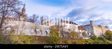 Stadtbild mit Stadtmauer rund um die alte mittelalterliche Stadt Tallinn in Estland, UNESCO-Weltkulturerbe Stockfoto