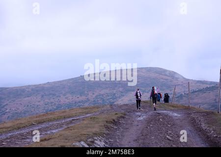 KARPATEN, UKRAINE - 8. OKTOBER 2022 Mount Dragobrat. Karpaten in der Ukraine am nebligen Herbsttag. Touristen wandern durch Hügel bis zum Gipfel des Dragobrat Berges Stockfoto