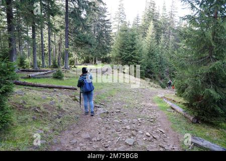 KARPATEN, UKRAINE - 8. OKTOBER 2022 Mount Hoverla. Karpaten in der Ukraine im Herbst. Touristen wandern durch Hügel und Wälder bis zum Gipfel des Hoverla Berges Stockfoto