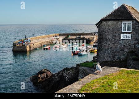 Coverack, Großbritannien - Okt. 3 2022. Kleine Fischerboote im Hafen von Coverack. Das alte Postamt und eine Heringsmöwe sind im Vordergrund. Stockfoto