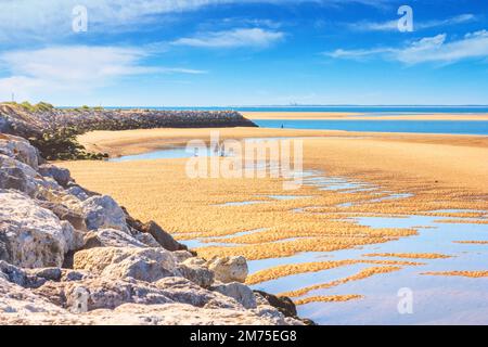 Küstenlandschaft - Blick auf die Atlantikküste bei Ebbe in der Nähe der Stadt La Palmyre, der Region Nouvelle-Aquitaine, im Südwesten Frankreichs Stockfoto