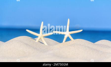 Zwei Seesterne am Sandstrand, Konzept eines Sommerurlaubs oder Urlaubs, Strandtourismus. Hintergrund mit Platz für Text Stockfoto