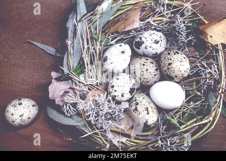 Ostereier im Nest auf rustikalem Holzhintergrund, osterhintergrund Stockfoto