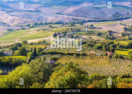 Hügelige Landschaft mit Feldern und Weinbergen, Blick von der oberen Stadtmauer, Montepulciano, Toskana, Italien Stockfoto