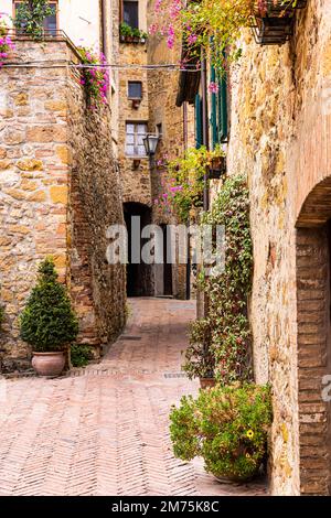 Gewundene Gasse mit Blumen und Pflanzen im Zentrum von Pienza, Pienza, Toskana, Italien Stockfoto