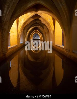 Die Bäder des Real Alcazar in Sevilla Spanien Stockfoto
