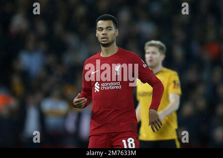 Liverpool, Großbritannien. 07. Januar 2023. Cody Gakpo aus Liverpool schaut zu. The Emirates FA Cup, 3. Runde, Liverpool gegen Wolverhampton Wanderers in Anfield in Liverpool am Samstag, den 7. Januar 2023. Dieses Bild darf nur zu redaktionellen Zwecken verwendet werden. Nur redaktionelle Verwendung, Lizenz für kommerzielle Verwendung erforderlich. Keine Verwendung bei Wetten, Spielen oder Veröffentlichungen von Clubs/Ligen/Spielern. Bild von Chris Stading/Andrew Orchard Sportfotografie/Alamy Live News Kredit: Andrew Orchard Sportfotografie/Alamy Live News Stockfoto