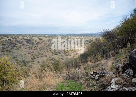 Das Yehudiya Forest Reserve ist ein Naturschutzgebiet in den zentralen Golan Heights. Israel Park. Stockfoto