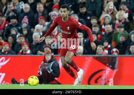 Liverpool, Großbritannien. 07. Januar 2023. Cody Gakpo aus Liverpool in Aktion. The Emirates FA Cup, 3. Runde, Liverpool gegen Wolverhampton Wanderers in Anfield in Liverpool am Samstag, den 7. Januar 2023. Dieses Bild darf nur zu redaktionellen Zwecken verwendet werden. Nur redaktionelle Verwendung, Lizenz für kommerzielle Verwendung erforderlich. Keine Verwendung bei Wetten, Spielen oder Veröffentlichungen von Clubs/Ligen/Spielern. Bild von Chris Stading/Andrew Orchard Sportfotografie/Alamy Live News Kredit: Andrew Orchard Sportfotografie/Alamy Live News Stockfoto