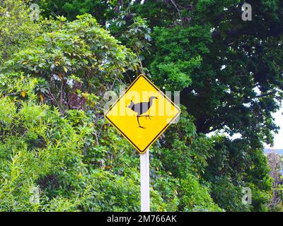 Ein Vogelschild auf der Straße gegen den Wald in Pukeko, Neuseeland Stockfoto