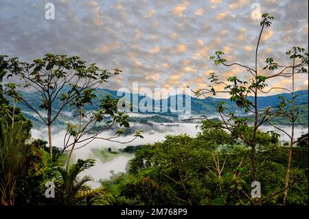 Panoramablick auf den Regenwald und die Dschungellandschaft in Costa Rica bei Sonnenuntergang. Stockfoto