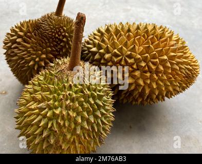 Frische und reife Durianfrüchte. Durian (Durio) ist eine tropische Pflanze aus Südostasien, die wegen ihrer einzigartigen Form und ihres unverwechselbaren Aromas beliebt ist. Stockfoto