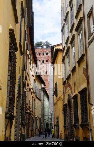 Der 45 Meter hohe Guinigi-Turm mit Menschen auf dem Gipfel unter den Holm-Eichen, Lucca, Toskana, Italien. Stockfoto