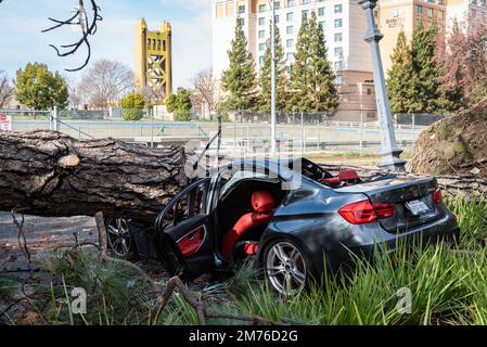 Foto eines BMW-Wagens, das in Sacramento von einer Kiefer zertrümmert wurde, weil es in Nordkalifornien zu einem extremen Sturm kam. Stockfoto