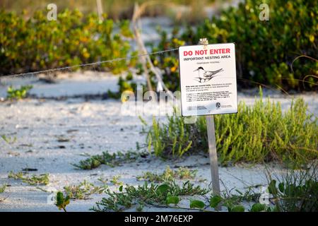Schild mit Warnung über Nistgebiet von Seevögeln am Strand mit kleinen Sanddünen und grasbewachsenen Vegetation an warmen Sommertagen. Stockfoto