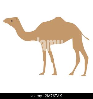 Karikaturvektordesign des Kamels Stock Vektor