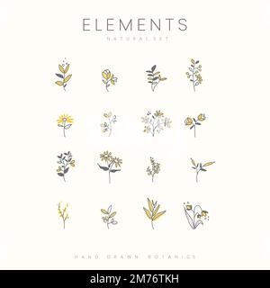Handgezeichneter Vektor für botanische Elemente Stock Vektor