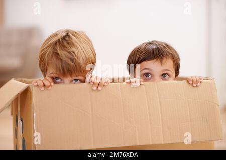 Dynamit gibt es in winzigen, bezaubernden Paketen. Zwei süße Jungs, die aus einer Pappschachtel gucken. Stockfoto