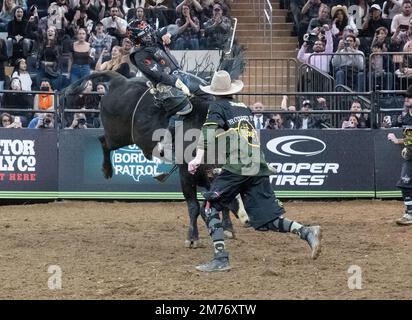 New York, New York, USA. 7. Januar 2023. Professioneller Bullenreiter ANDREW ALVIDREZ aus Seminole, TX. „Big Mac“ beim jährlichen „Unleash the Beast“-Wettbewerb PBR Classic im Madison Square Garden in New York. Es gibt 40 Bullenreiter, die an der Veranstaltung teilnehmen. (Kreditbild: © Brian Branch Price/ZUMA Press Wire) Stockfoto