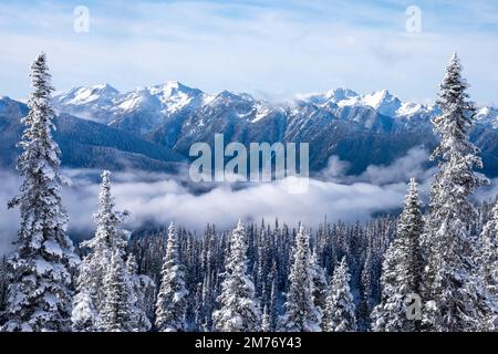 Schnee am Hurricane Ridge, Olympic National Park, Washington State, USA Stockfoto