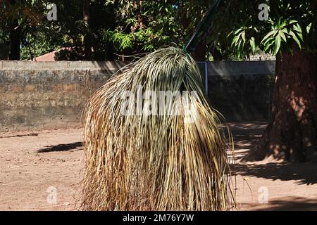 Kumpo-Tanz mit Masken in Senegal, Westafrika Stockfoto