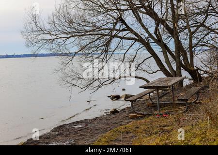 Der Hinterhof mit Blick auf den Herbstwald - eine leere Terrasse ohne Personen, eine Terrasse mit Tischen und muskoka-Stühlen - ein Entspannungsbereich Stockfoto