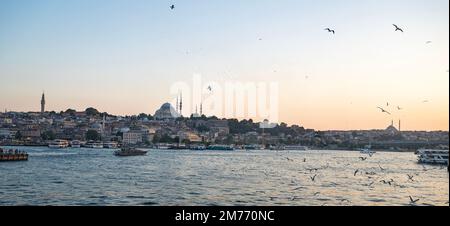 Abendlandschaft vom Meer bis zur Sofia-Moschee mit Schiffen und fliegenden Möwen über dem Meer. Sonnenuntergang in Istanbul. Truthahn. Stockfoto