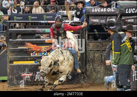 NEW YORK, NEW YORK - 07. JANUAR: Silvano Alves reitet in der zweiten Runde der Professional Bull Riders 2023 im Madison Square Garden am 7. Januar 2023 in New York City mit dem Shark Bait. Kredit: Ron Adar/Alamy Live News Stockfoto