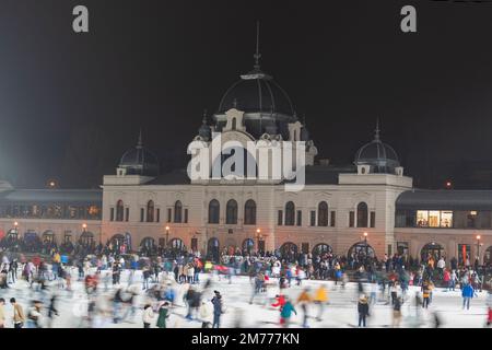 Eiskunstlauf-Leute in Budapest Stockfoto