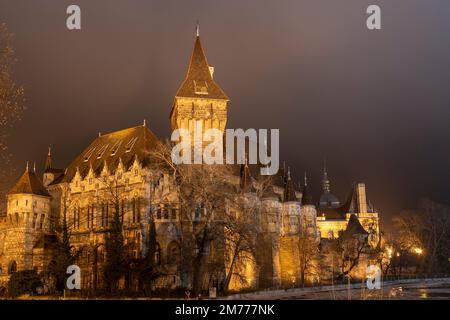 Vajdahunyad Burg Stockfoto