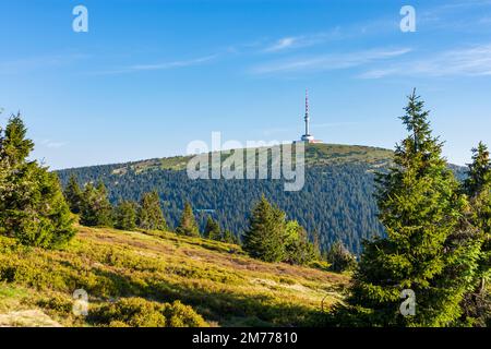 Hruby Jesenik (Altvatergebirge, Hochasische Berge): Berghügel (Altvater) mit Sender oben in Hruby Jesenik (Altvatergebirge, Hochasch M Stockfoto