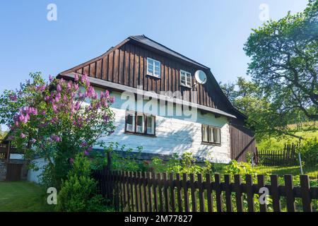 Hruby Jesenik (Altvatergebirge, hohe Asche): Typisches mährisches Holzhaus in, Moravskoslezsky, Mährisch-Schlesisch Stockfoto