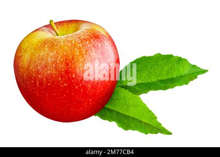 1 Apfel und Blätter isoliert auf weißem Hintergrund Stockfoto