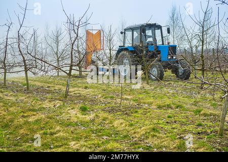 Blick auf die Pestizidverarbeitung im Apfelgarten. Stockfoto