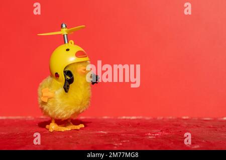 Die süße kleine Braut mit Helm ist allein auf rotem Hintergrund. Konzeptionell. Stockfoto