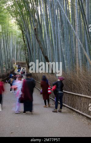 Kyoto, 12. Dezember 2017: Menschen ziehen neben dem Bambuswald von Arashiyama. Japan. Stockfoto