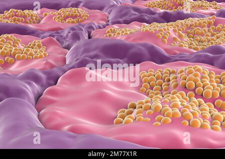 Speicheldrüsenoberfläche (sublingual) im menschlichen Mund - Nahaufnahme 3D-Darstellung Stockfoto