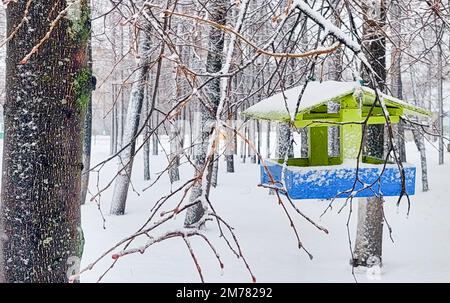 Hölzerne Vogelfütterung im Winter auf einem Ast in einem Stadtpark Stockfoto