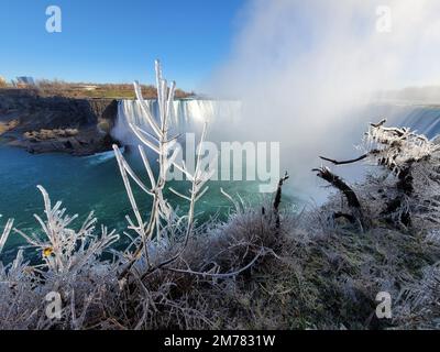 Ein malerischer Blick auf gefrorene Sträucher am Rand der Niagarafälle in Kanada im Winter Stockfoto