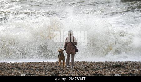 Brighton UK 8. Januar 2023 - Ein Hundeführer beobachtet die riesigen Wellen, die am Brighton Beach einschlagen, während Stürme die Südküste heute mit einer Mischung aus starkem Wind, Sonnenschein und Regen treffen : Credit Simon Dack / Alamy Live News Stockfoto