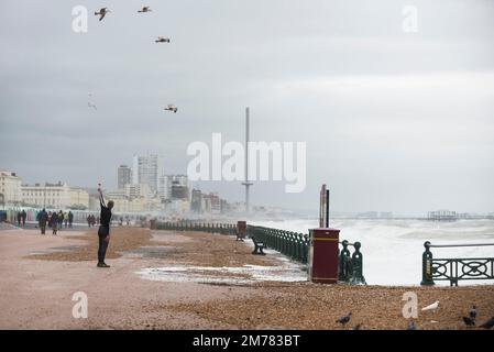 Brighton & Hove, East Sussex. 7. Januar 2023 Wetter in Großbritannien. Die Menschen und ihre Hunde kämpfen in starken 40mph-Winden und waten durch eine Promenade, die von den stürzenden Wellen bedeckt ist und bei Flut an der Küste von Hove liegt. Kredit: Francesca Moore/Alamy Live News Stockfoto