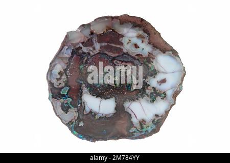 Holz Opal Stockfoto