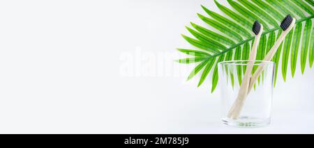 Bambuszahnbürsten in einem Glas auf dem Hintergrund eines Palmenblattes, auf weißem Hintergrund. Körperhygienekonzept, Zahnheilkunde, keine Abfälle, Umwelt Stockfoto