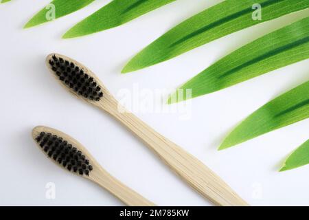 Bambuszahnbürsten auf weißem Hintergrund neben einem Palmenblatt. Körperhygienekonzept, Zahnheilkunde, abfallfrei, umweltfreundlich. Speicherplatz kopieren Stockfoto