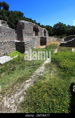 Ruinen der römischen Kolonialgebäude, antikes Butrint, UNESCO-Weltkulturerbe, Butrint-Nationalpark, Saranda-Viertel, Südalbanien, Europa Stockfoto