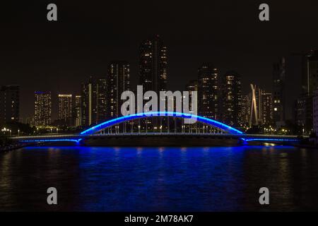 Nachtsicht auf die Eitai-Brücke über dem Sumidagawa, mit hohen Gebäuden dahinter, Tokio, Japan. Stockfoto