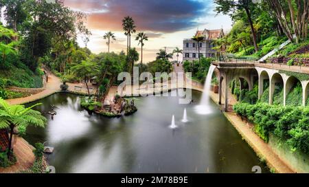 Madeira Insel in Portugal, Monte Palastgarten Stockfoto